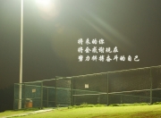开云体育app-孤星撞月，2026世界杯D组焦点战，哥斯达黎加碾碎阿联酋，登贝莱书写唯一神话