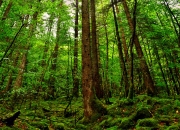 开云平台-绿茵孤勇者，2026世界杯C组强强对话，范戴克铁血封神，哥伦比亚绝杀沙特书写唯一传奇