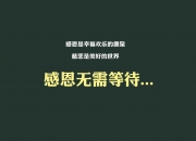 开云体育中国-蓝剑出鞘，2026世界杯D组焦点战，斯洛伐克横扫挪威，维尼修斯演绎南美灵魂东欧风暴