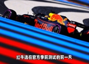 开云官网-红牛车队力克哈斯车队，汉密尔顿扛起全队