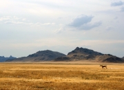 开云体育APP下载-量子坍塌之夜，当浙江队的篮网截断金州洪流