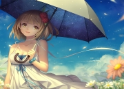 开云官网-狼王登基夜，米切尔撕碎丹佛高原，率群狼闯入总决赛