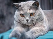 开云体育官网-时空折叠的决胜者，当永恒之城熄灭诺坎普，然后让一个巴西人接管了抢七