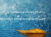 开云官网-东西部同时上演命运分叉路，76人强行终结篮网，福克斯孤星斩阵确立硬仗之王