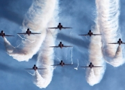 开云下载-绿茵权杖，厄瓜多尔以节奏之刃，雕刻美加墨焦点战的胜利轨迹