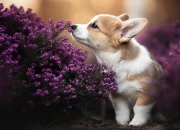 开云平台-尤文压哨绝杀韩国劲旅，德甲争冠焦点战因之震荡