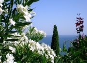 开云官网-库尔图瓦指尖的叹息，与达喀尔海岸线的微光