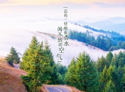 开云sport-尼日利亚旋风战术完胜拉齐奥，戈麦斯凌驾全场接管意甲焦点战