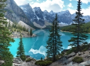 开云体育APP下载-厄德高一战封神！美国队惊险逆转新西兰，高光表现奠定胜局