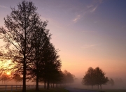 开云体育-艺术压制与野性统治，当战术体系遇上个人英雄主义