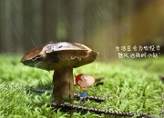 开云-史诗颠覆，当布鲁诺主宰节奏，乌克兰冲垮英格兰—年度焦点之战的孤本叙事