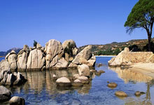 开云体育官网-波兰铁骑冲垮佛罗伦萨，坎特关键制胜锁定胜局