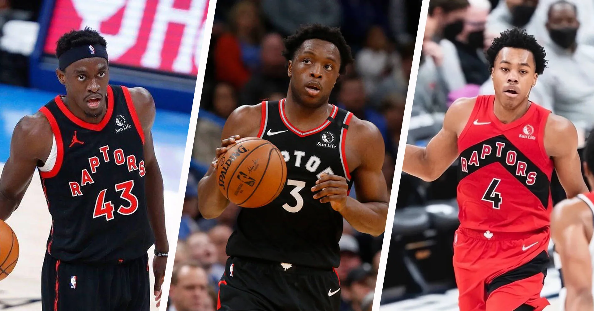 猛龙主帅谈未来计划，球队备战状态大好的简单介绍