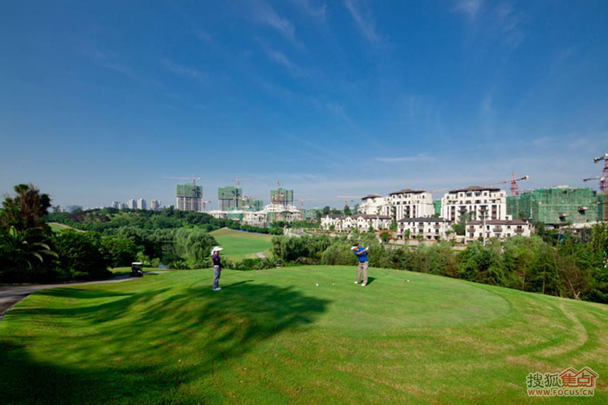 专家预测高尔夫胜率超六成，结果成焦点的简单介绍