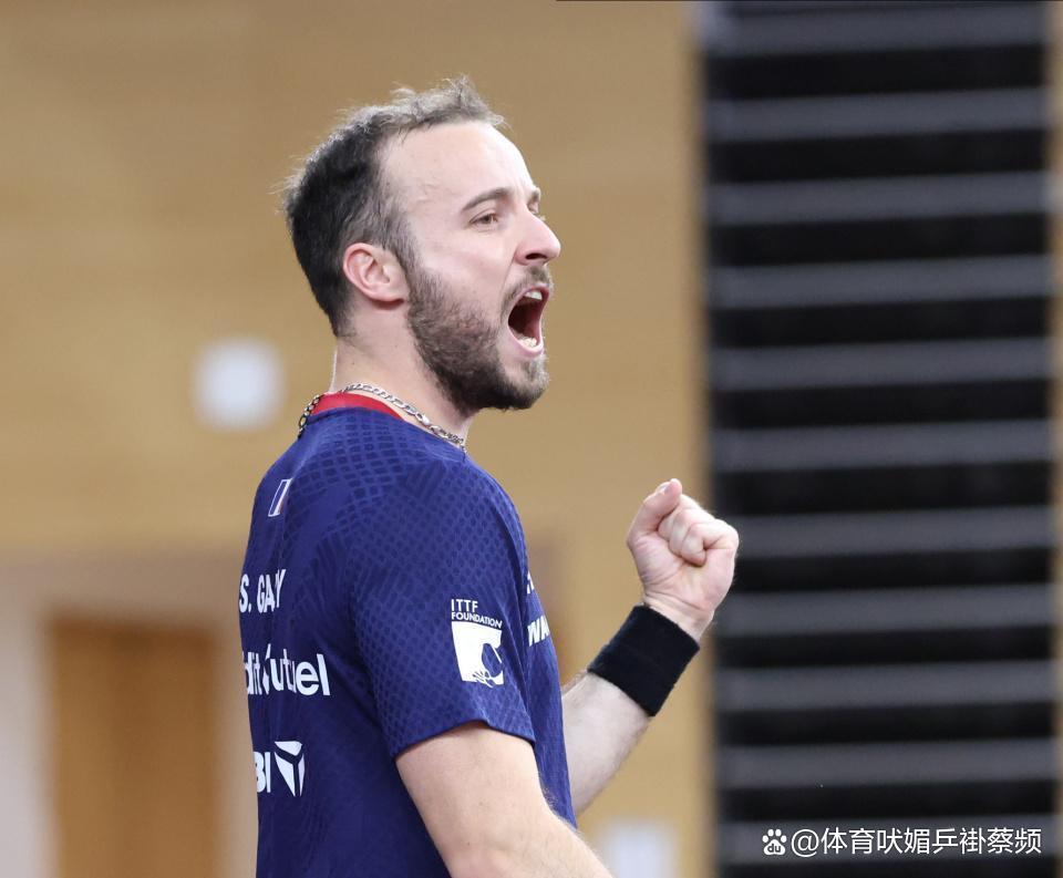 波兰队翻盘法国队，林高远高光表现的简单介绍