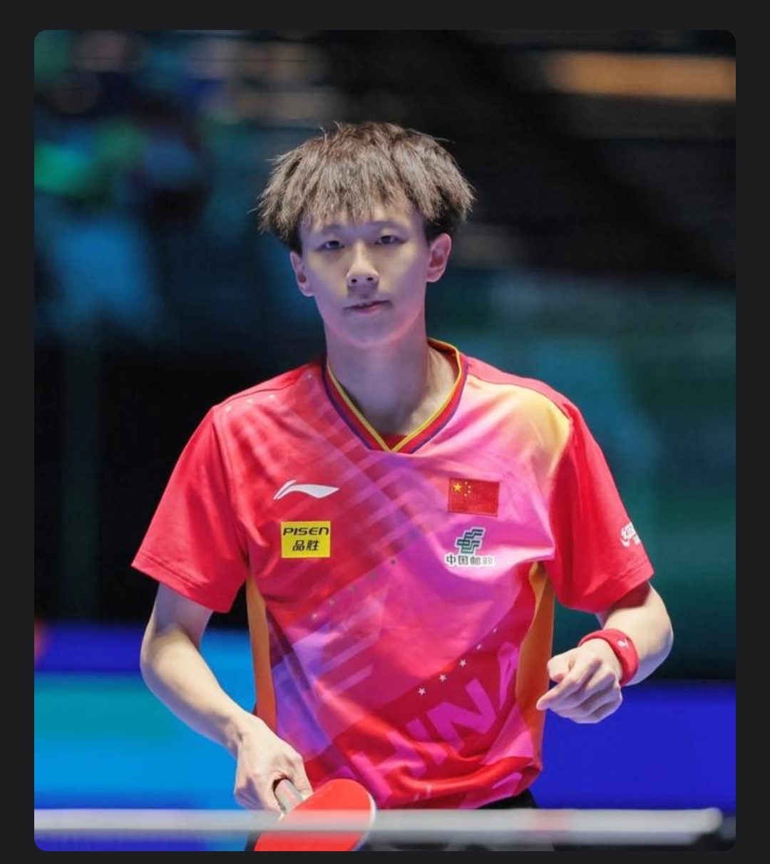 波兰队翻盘法国队，林高远高光表现的简单介绍