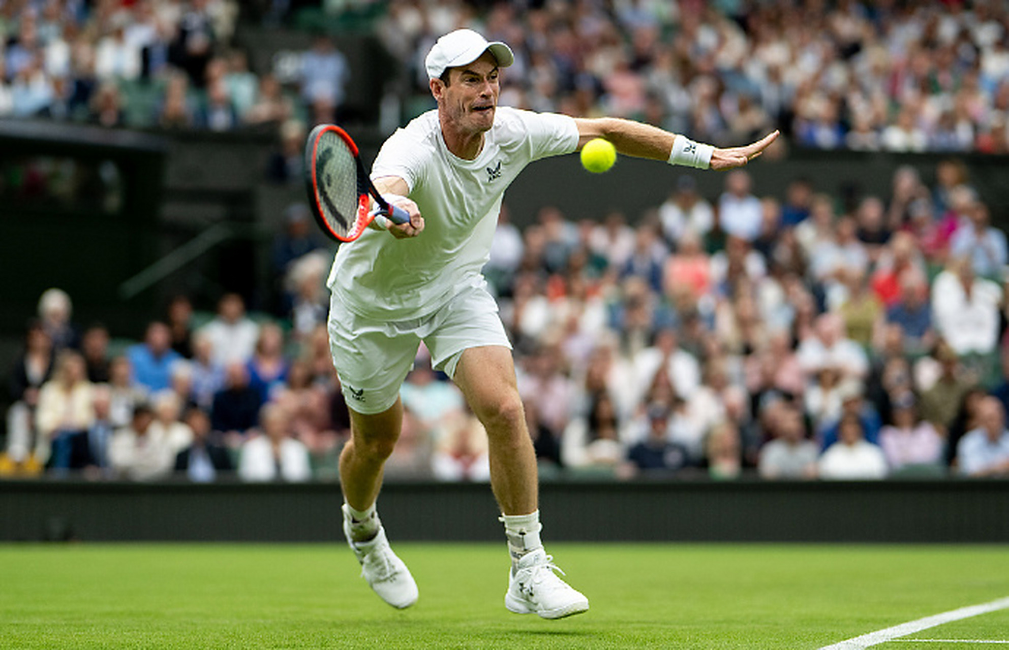 法网鏖战ATP总决赛，穆雷状态火热的简单介绍