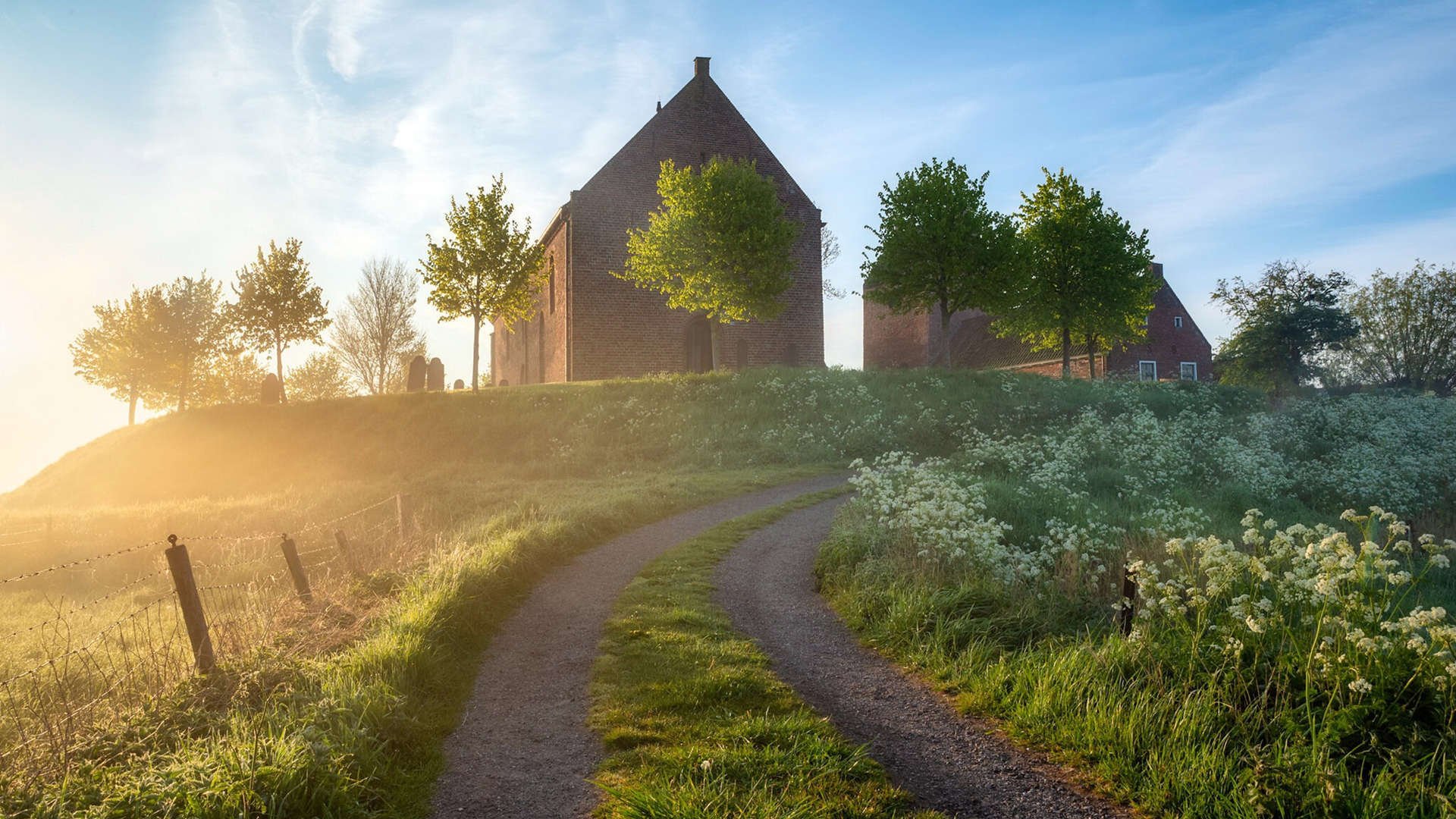 强势逆袭！黄蜂蛰伤老鹰，米切尔一锤定音成关键先生