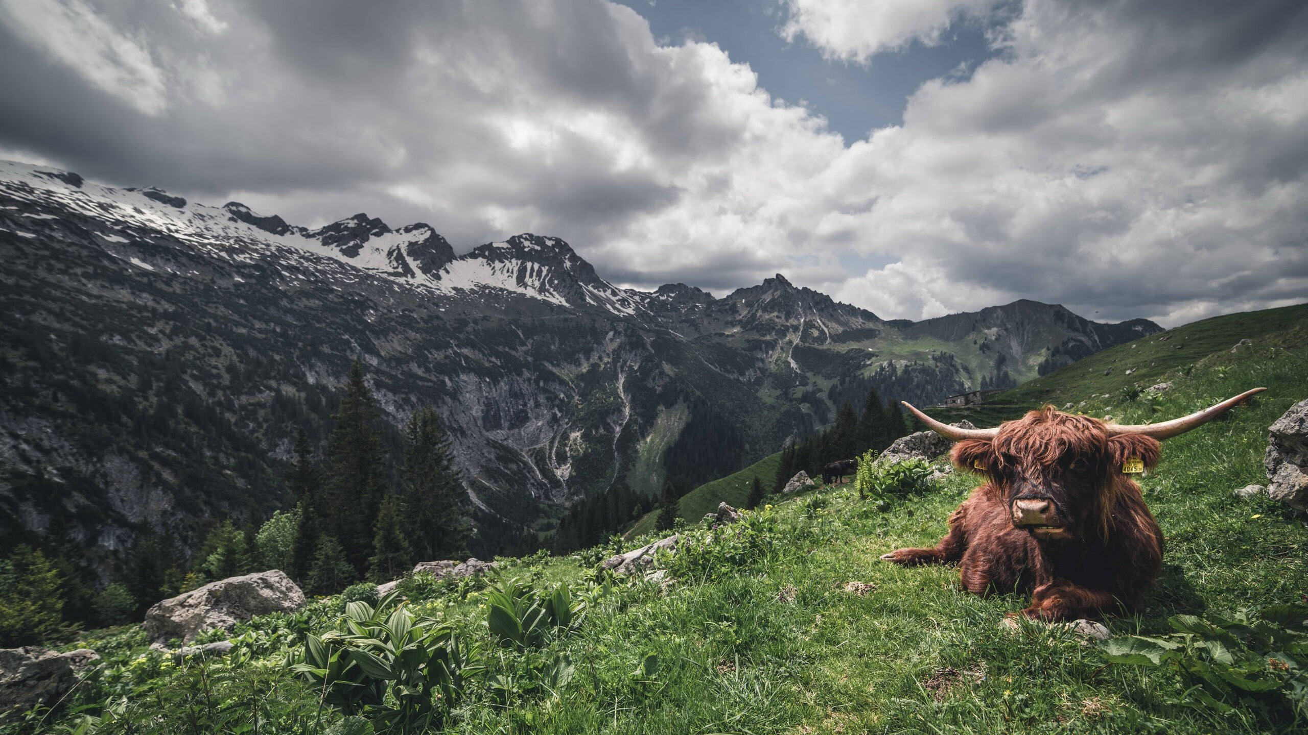 扛起全队与轻取对手，德布劳内和AC米兰的胜利之道