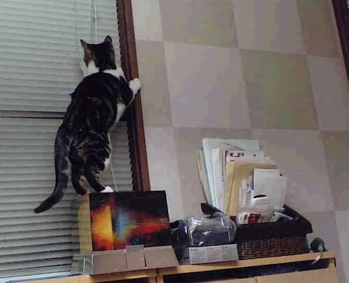 1.休城风暴，火箭末节一波流横扫国王，马克西演绎王者压制