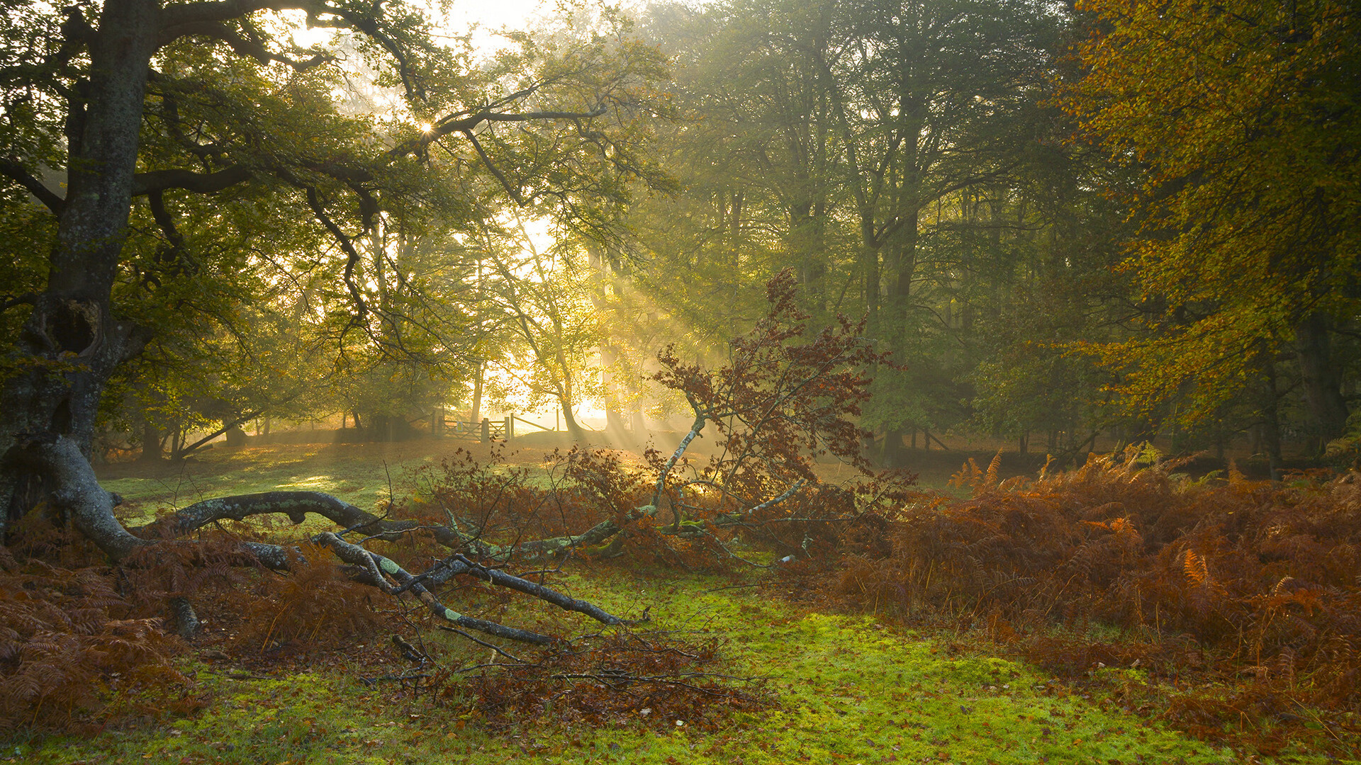 1.休城风暴，火箭末节一波流横扫国王，马克西演绎王者压制