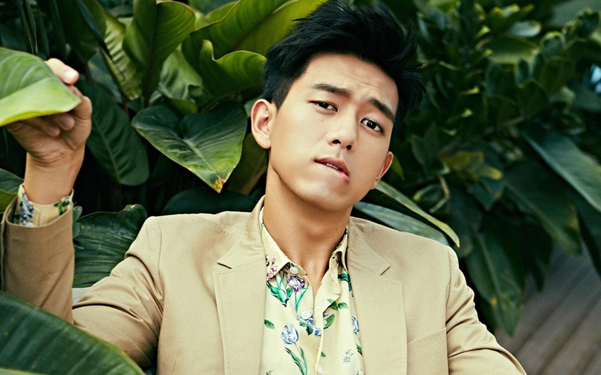 跨界掌控者，从鹈鹕到德甲，几何定律如何统治赛场