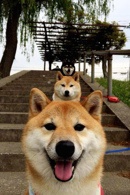 保罗以交响乐大师之姿引领节奏,掘金火力全开压制老鹰