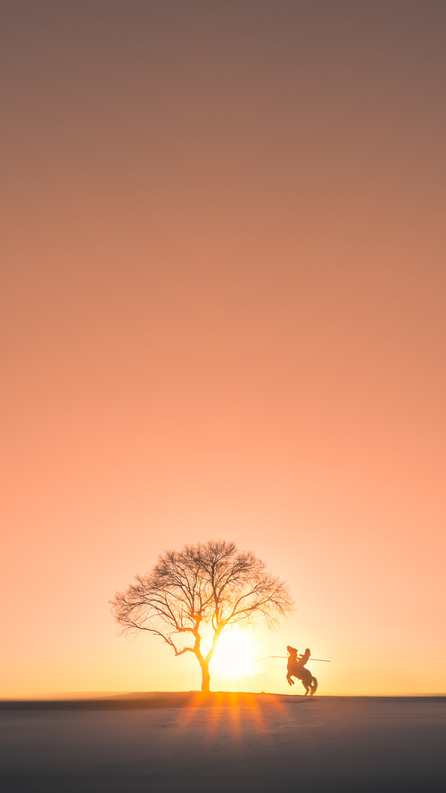当卡塔尔遇上土耳其，特奥化身禁区之王，一场个人英雄主义的绿茵盛宴