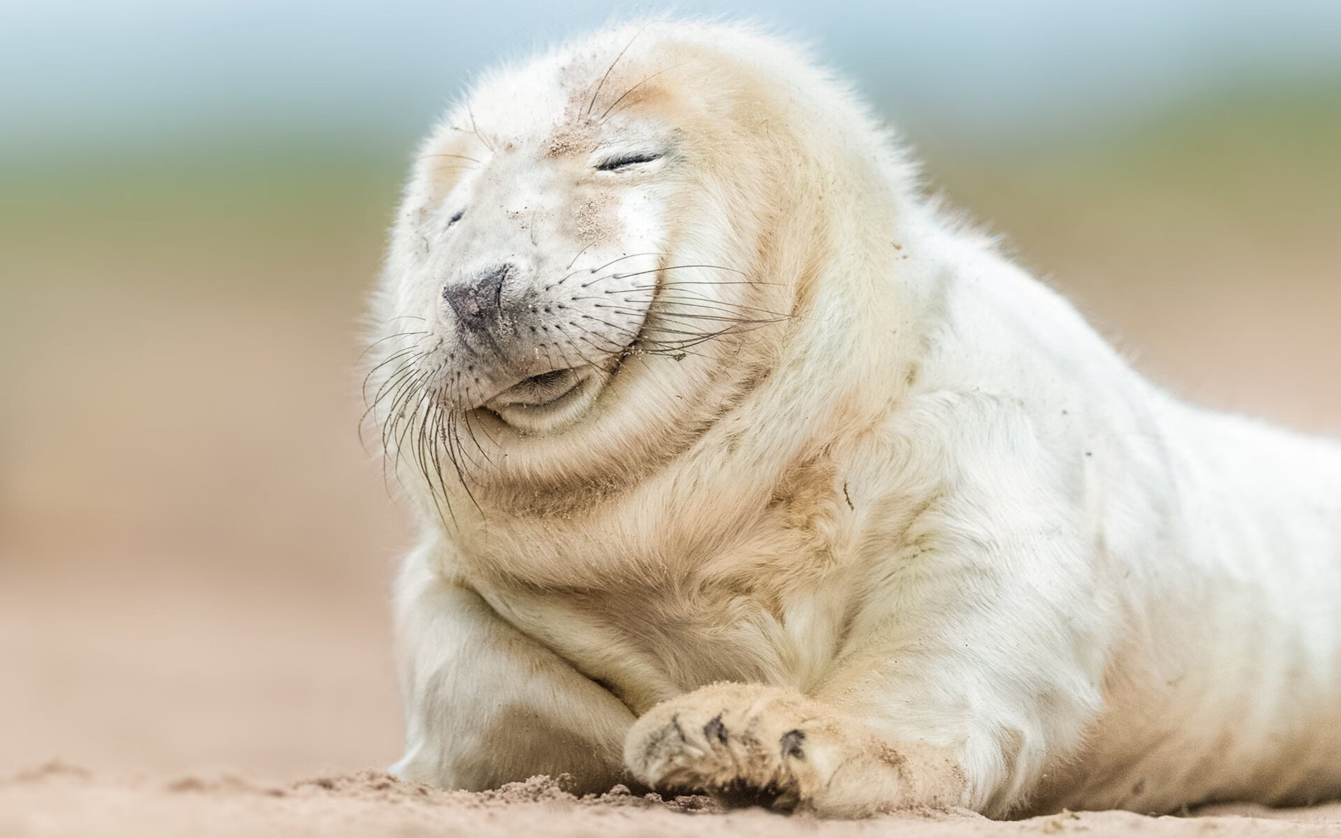 米切尔,欧冠死神今夜从不手软