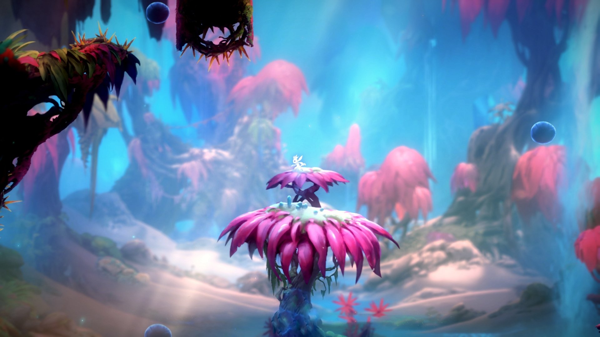 大脑战胜肌肉,日本篮球的战术革命与NBA的格鲁吉亚奇迹