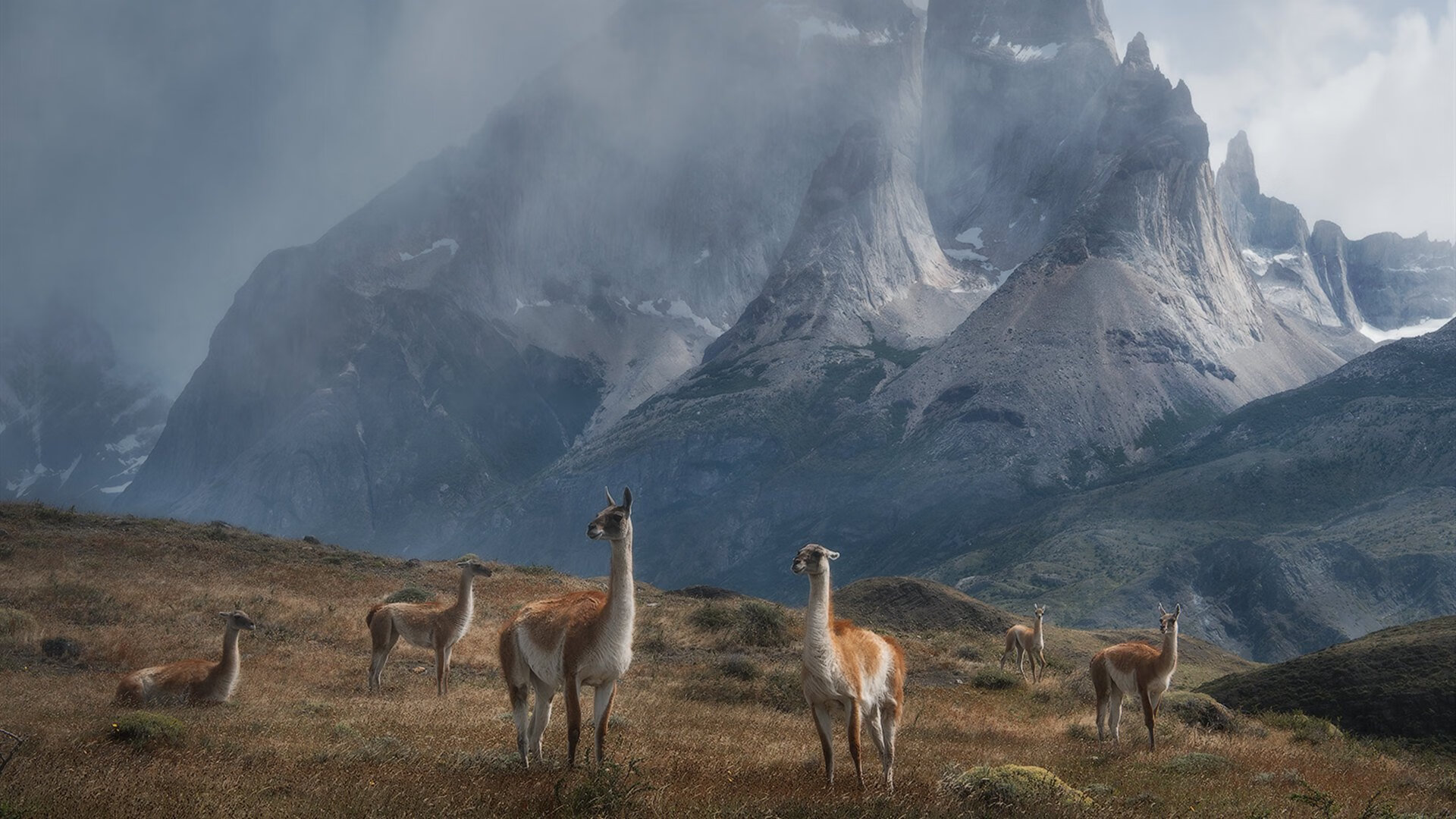 巨人神降临,新秀文班亚马在东部决赛的夜晚,以一记盖帽和两记三分改写历史