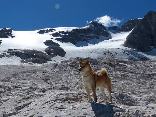 南十字星闪耀欧冠夜!新西兰冠军一波流摧垮马赛,改写足球版图