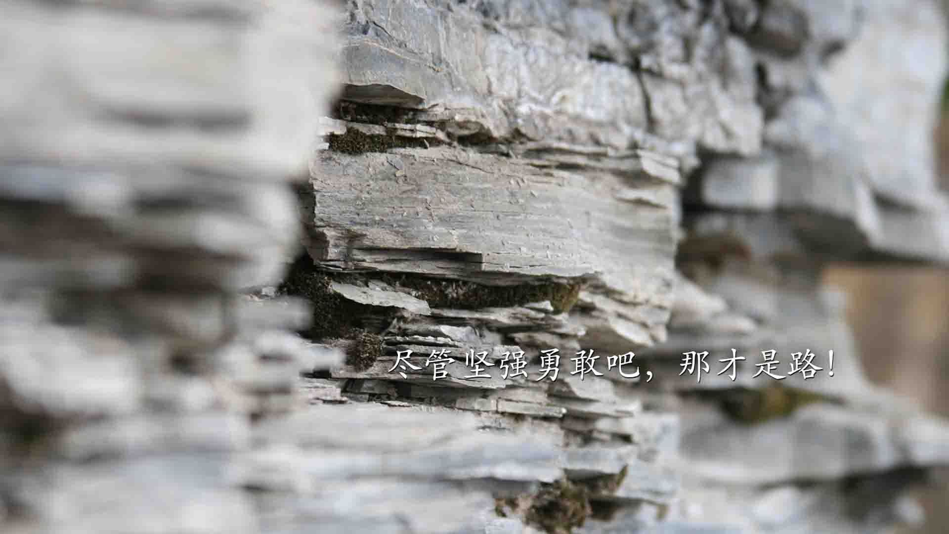 当东契奇与奇才爵士对决，一场错位的决胜局狂想