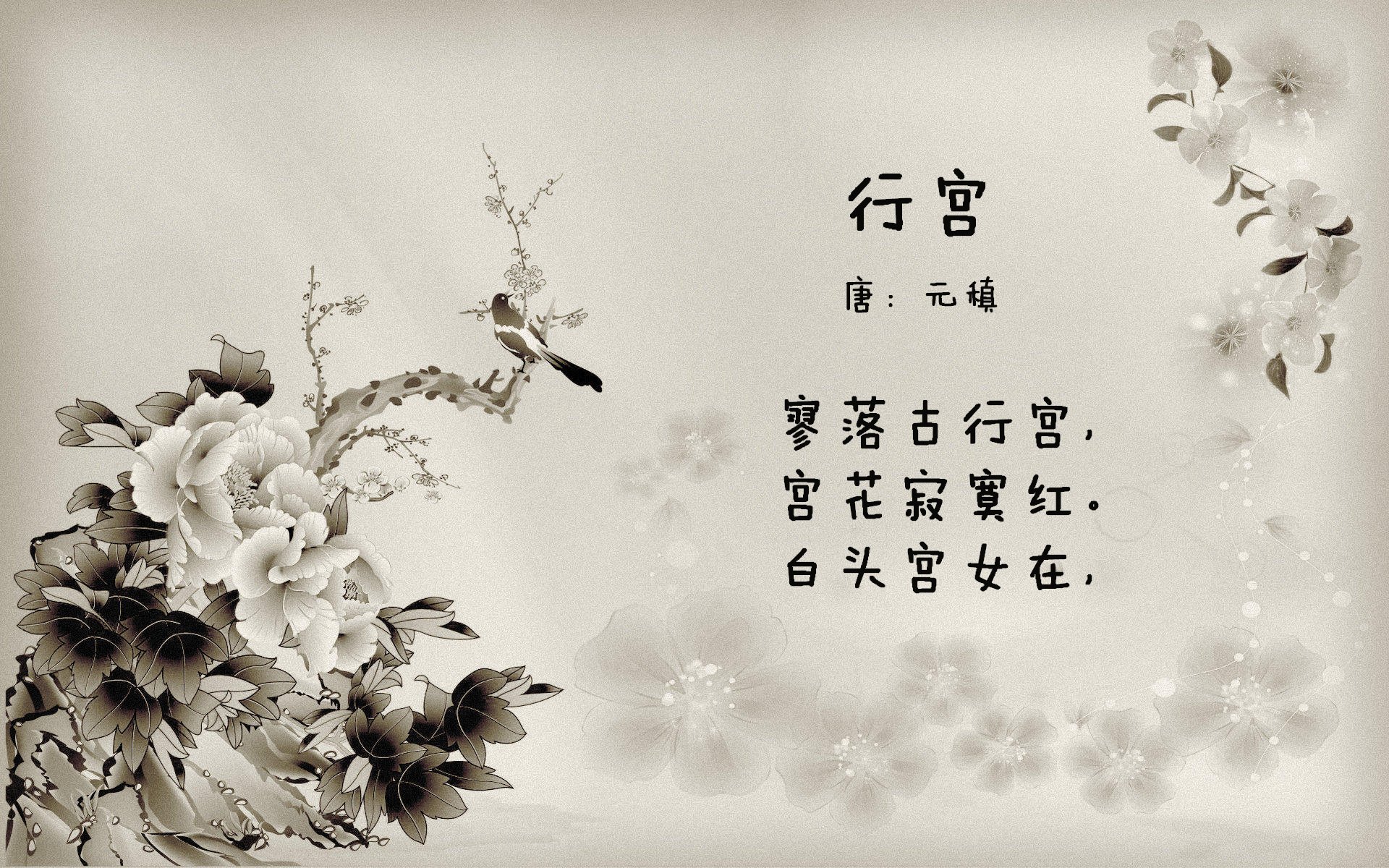 跨时空的王者,步行者的铁血纪律与马克西的孤胆光芒