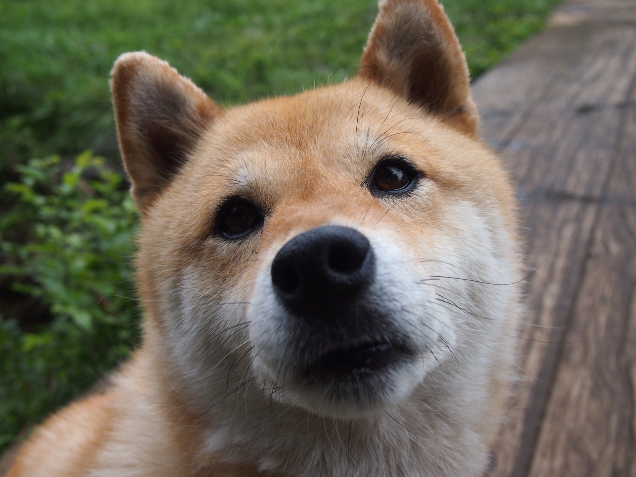 铁壁围城与孤胆英雄,西班牙封锁比利时,凯恩成为关键先生