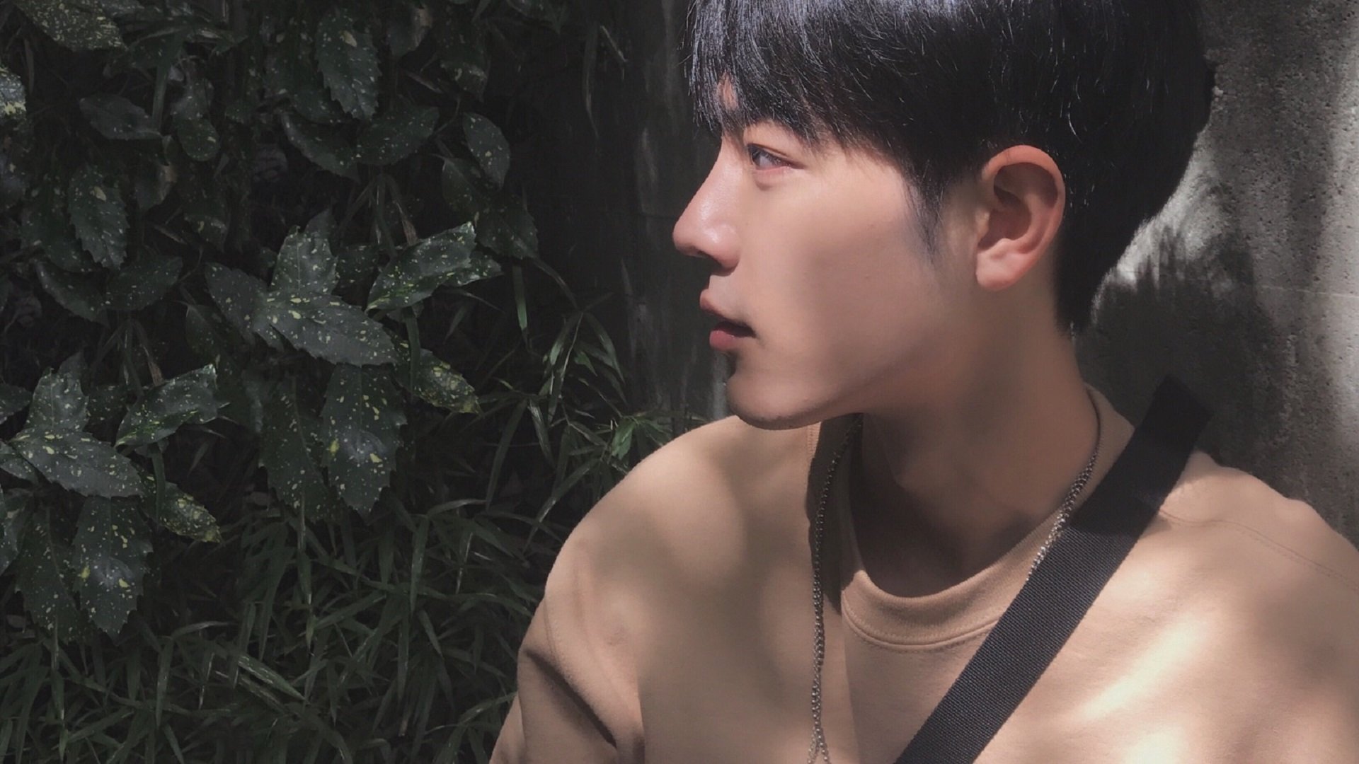 范弗利特法则，在绝对的否定之后，绝对的肯定才成立