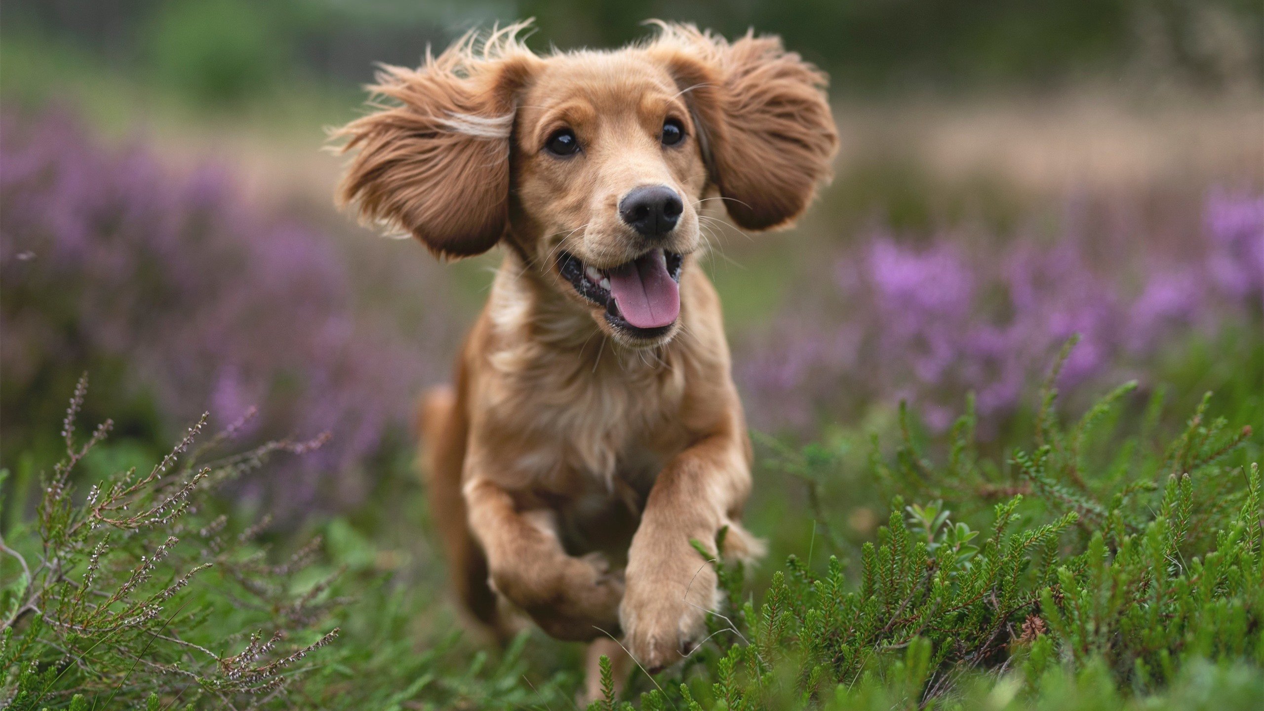 铁血防守的艺术，从西甲国家德比到浙江锁死山西的战术密码