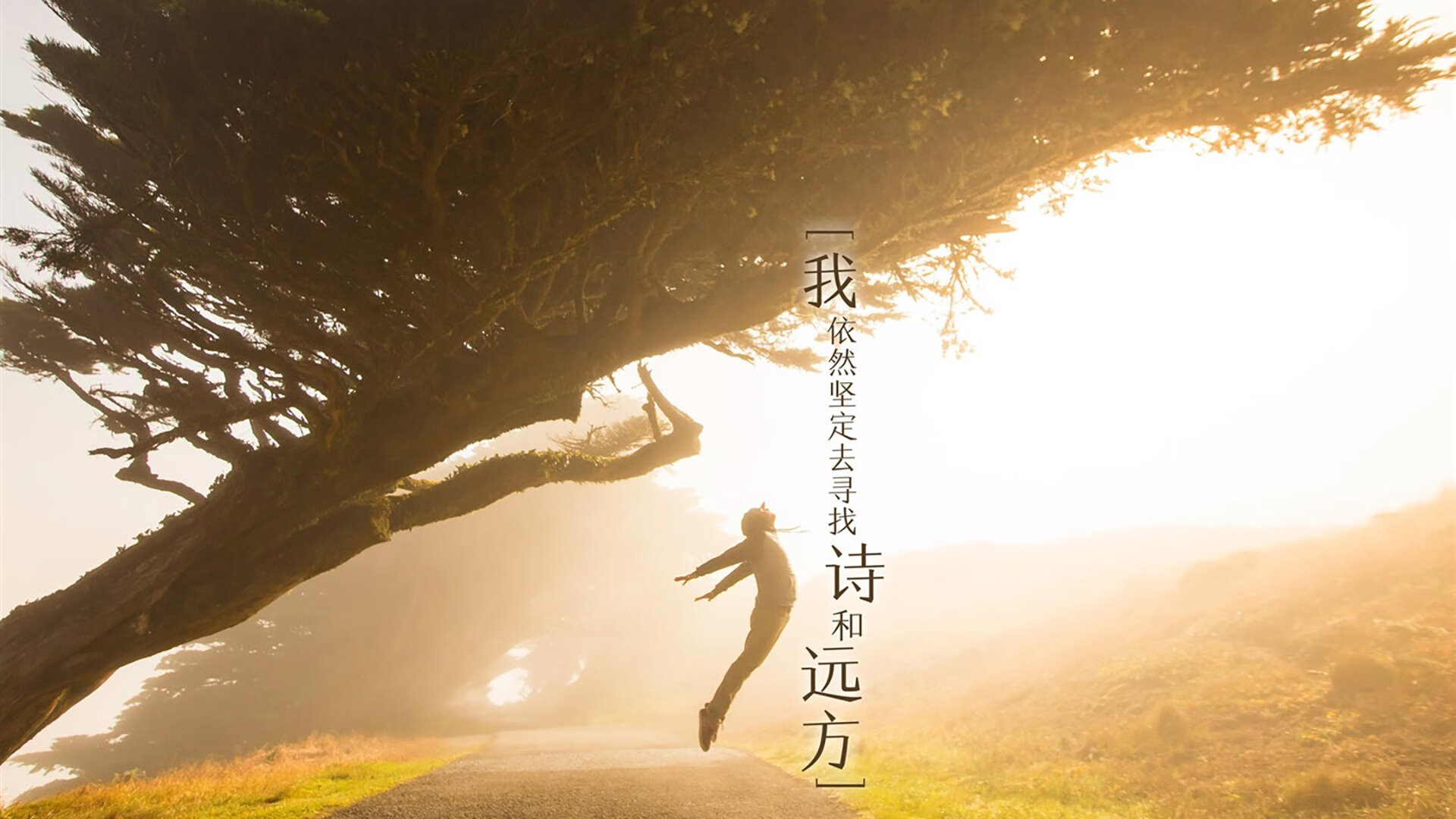 以下是为您构思的内容