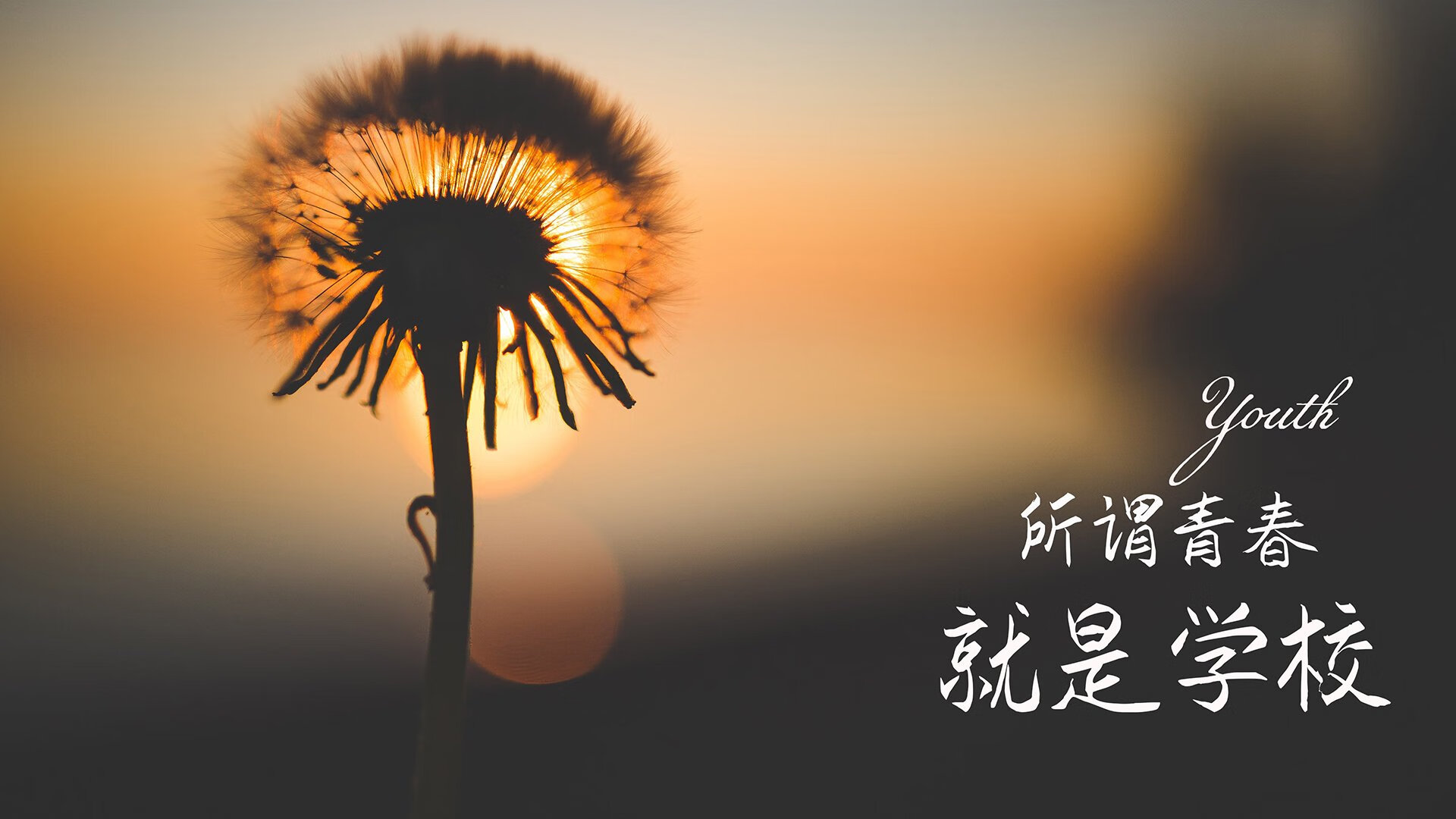 开始扩展思维,再完成文章
