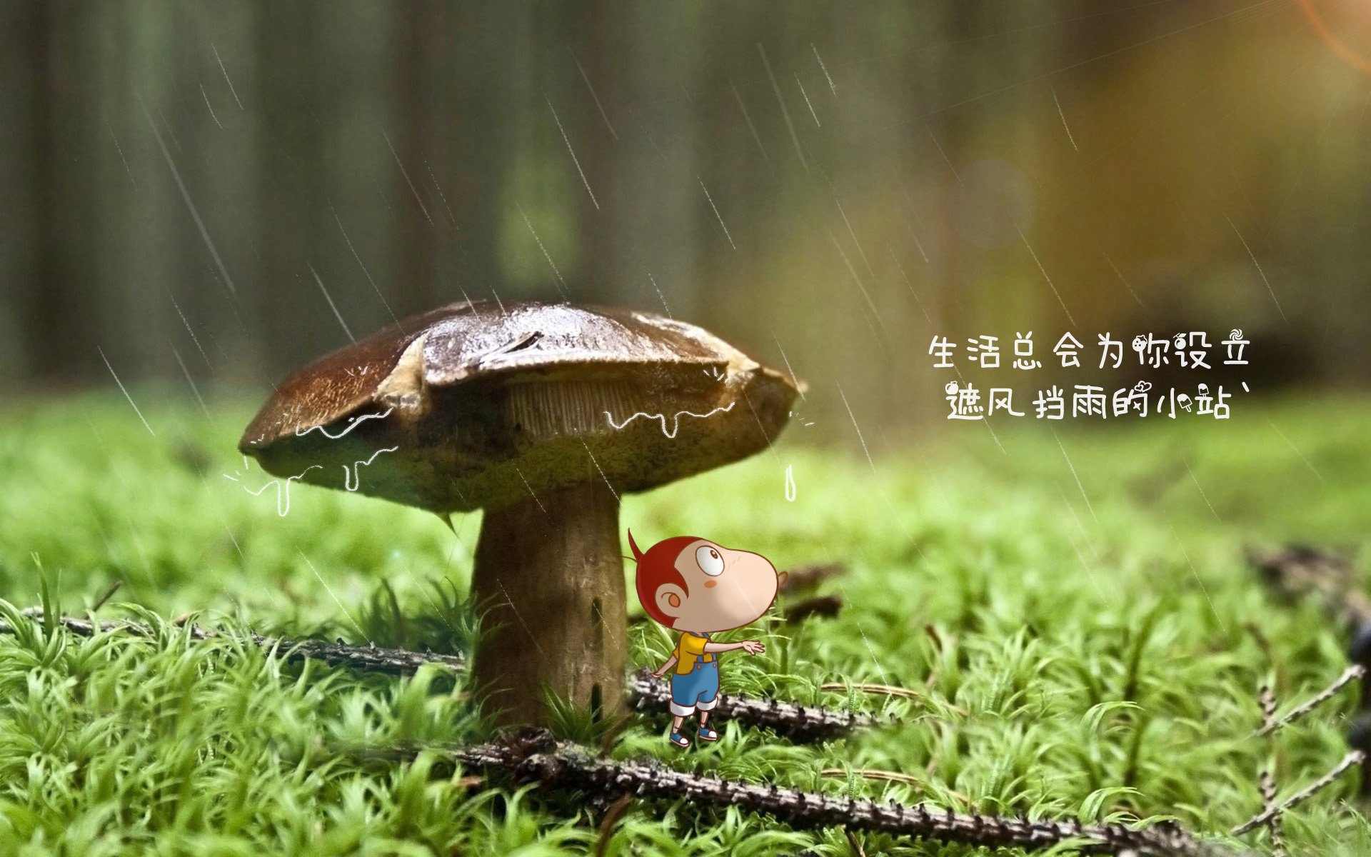 史诗颠覆,当布鲁诺主宰节奏,乌克兰冲垮英格兰—年度焦点之战的孤本叙事