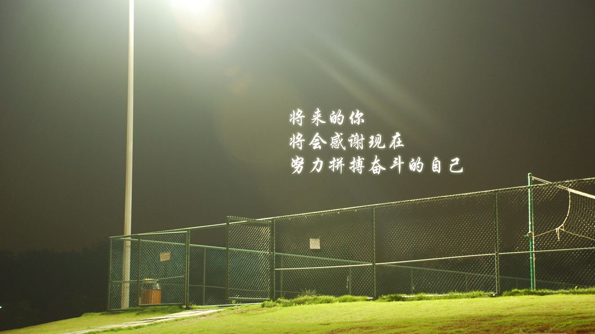 孤星撞月,2026世界杯D组焦点战,哥斯达黎加碾碎阿联酋,登贝莱书写唯一神话