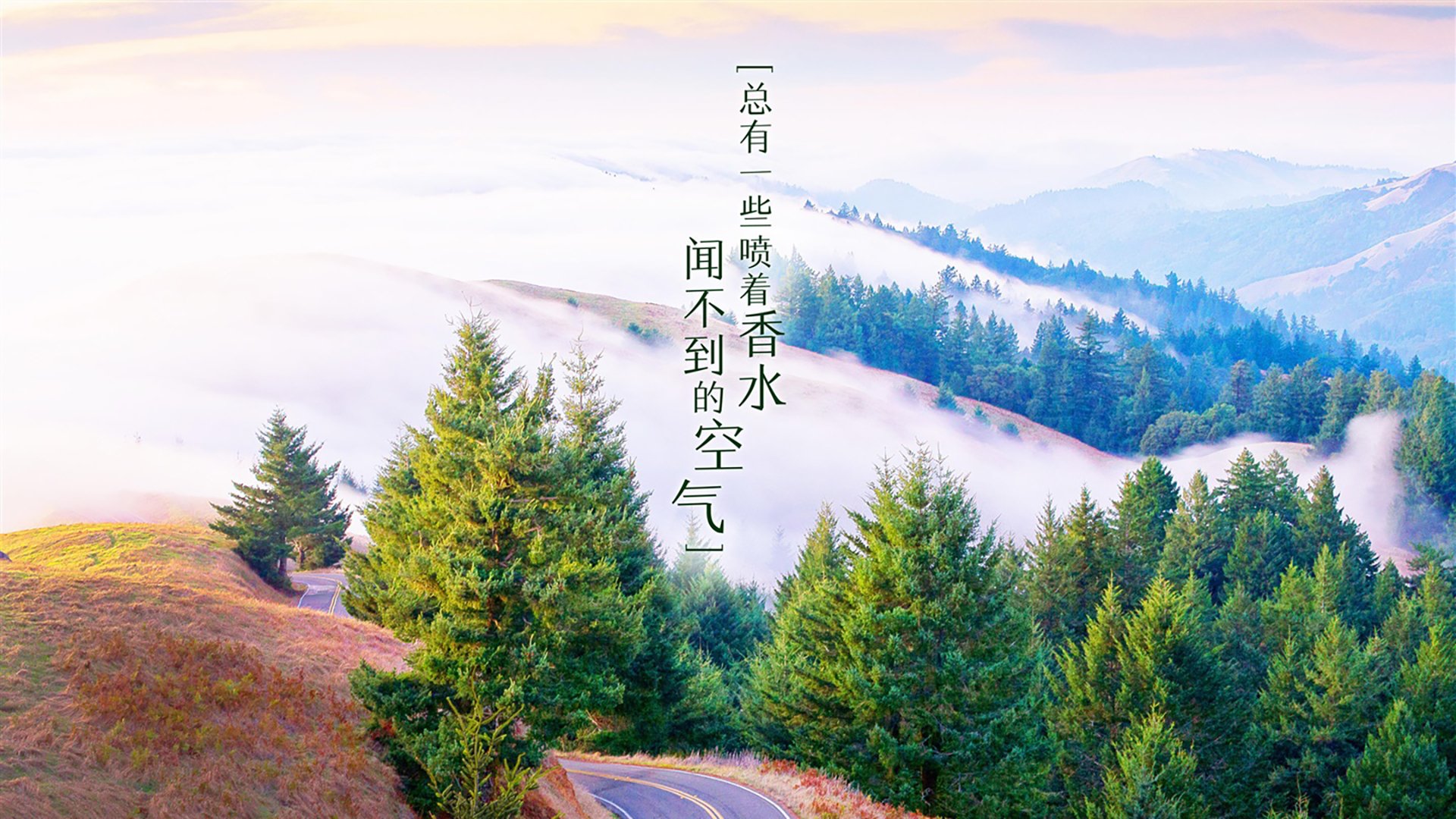 那一夜,命运在智利指尖颤抖,2026世界杯E组,福登的致命一击与瑞士的千古遗恨