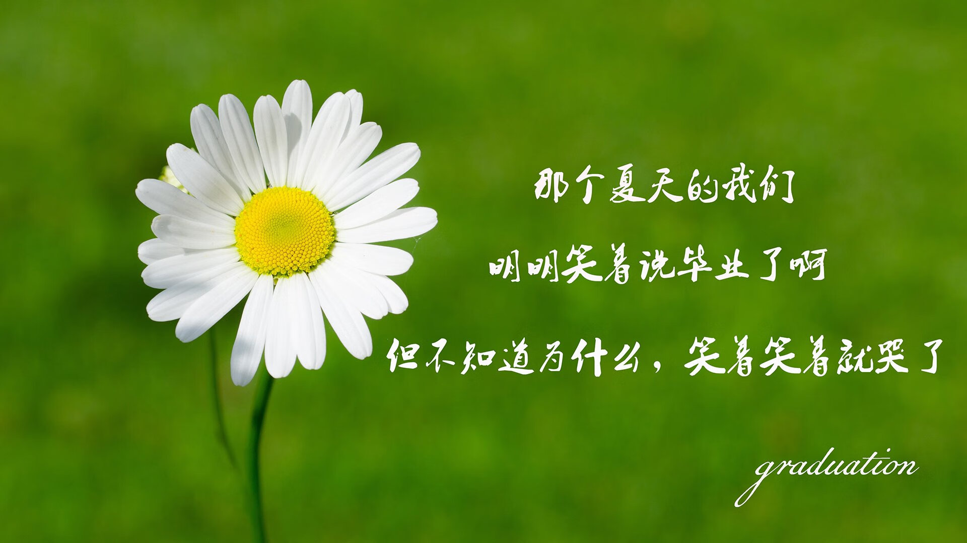 蓝焰独舞,当智利撕裂高原,内马尔在A组死亡之局写下唯一答案