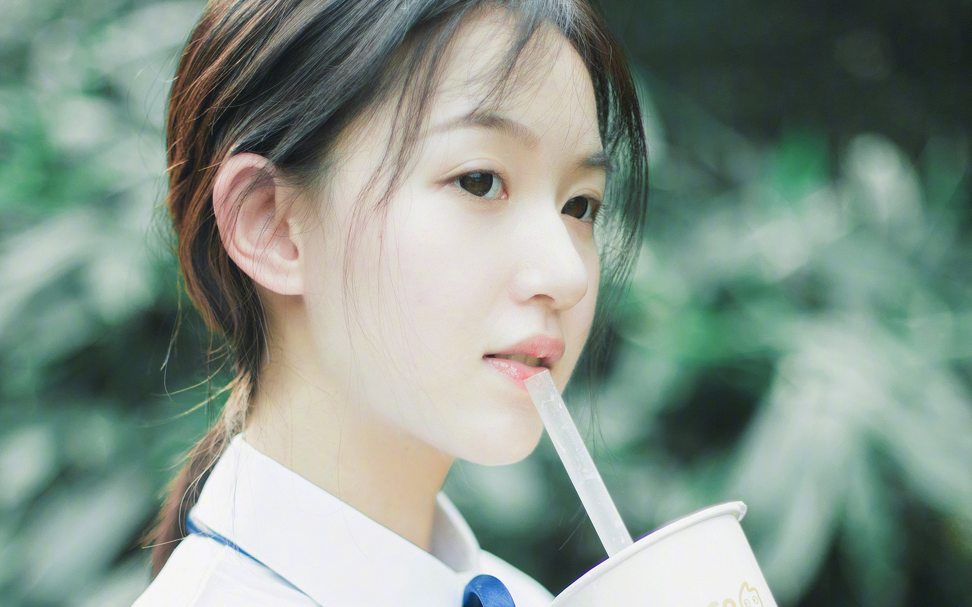绝境中的光芒,当太极虎咬碎美洲狮—2026世界杯H组强强对话,韩国力克秘鲁,努涅斯闪耀全场背后的默契密码