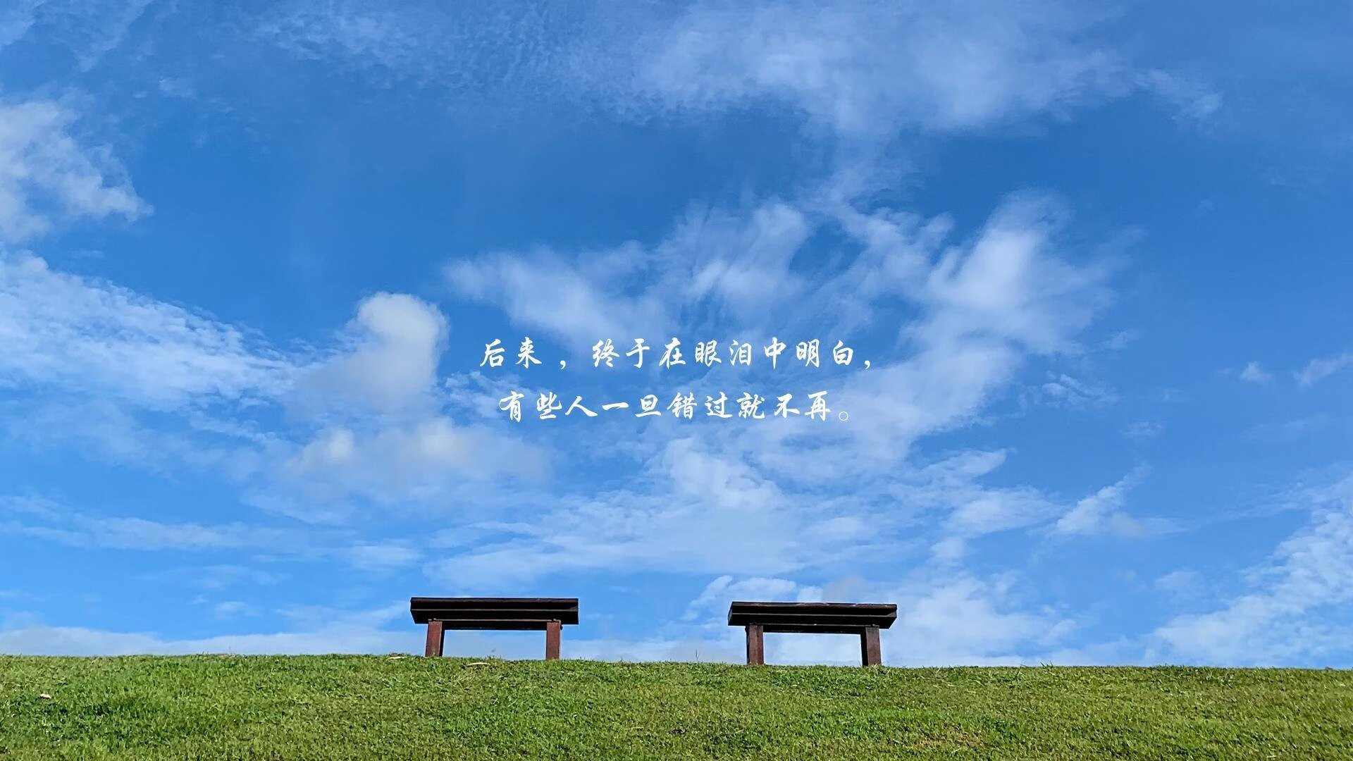 沙漠之鹰与安第斯雄鹰的巅峰对决,2026世界杯F组,梅西在绝境中书写不朽传奇