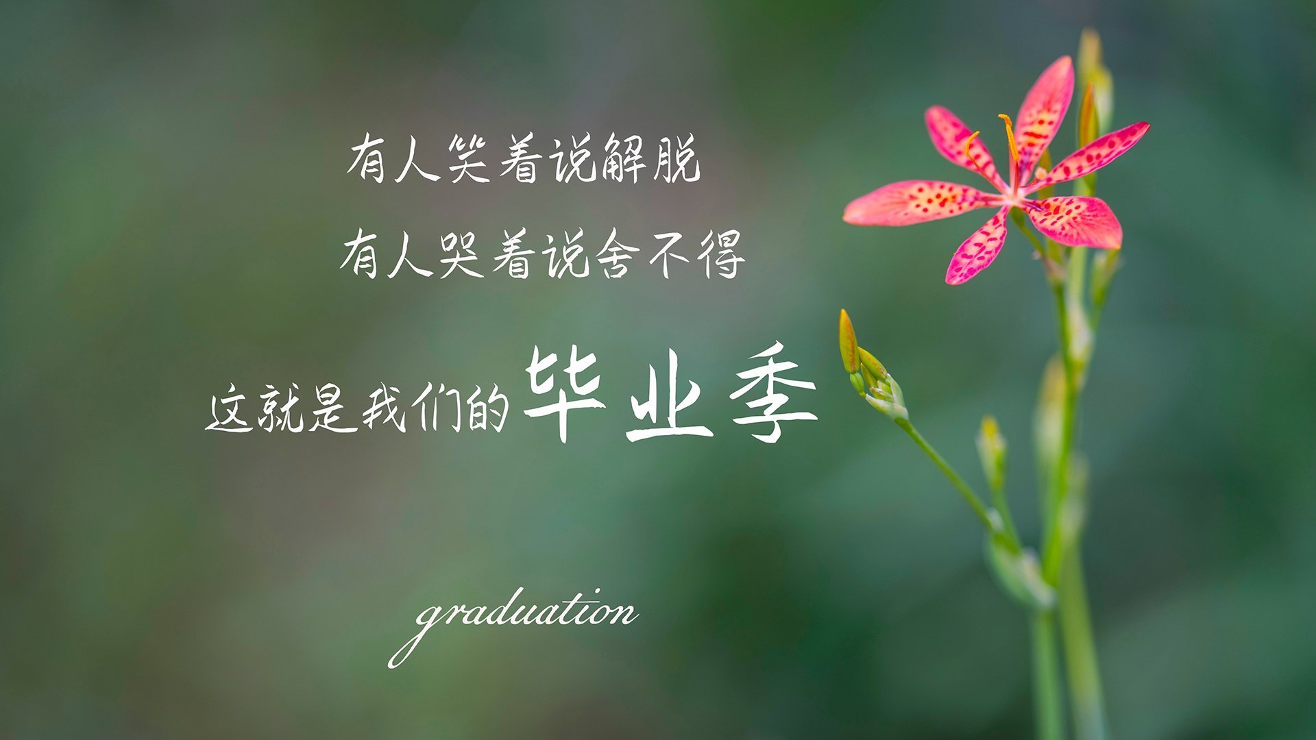 孤注一掷,2026世界杯G组,英格兰的压制美学与加维的致命一击
