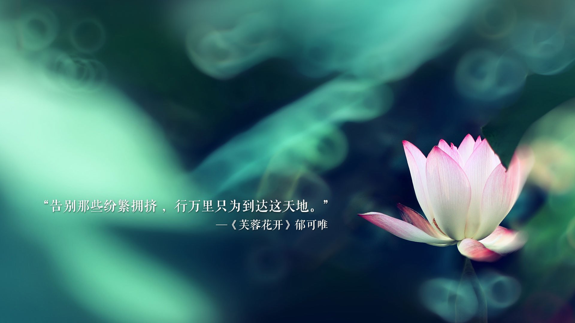 太阳旗与桑巴的裂痕，2026世界杯B组焦点战，日本横扫巴西，穆西亚拉如何重塑足球秩序