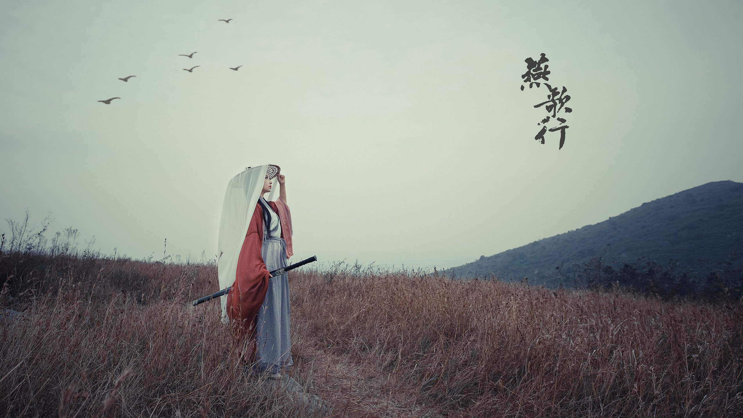沙漠里的黑马突围，阿诺德导演的唯一剧本，越南在2026世界杯A组掀翻卡塔尔