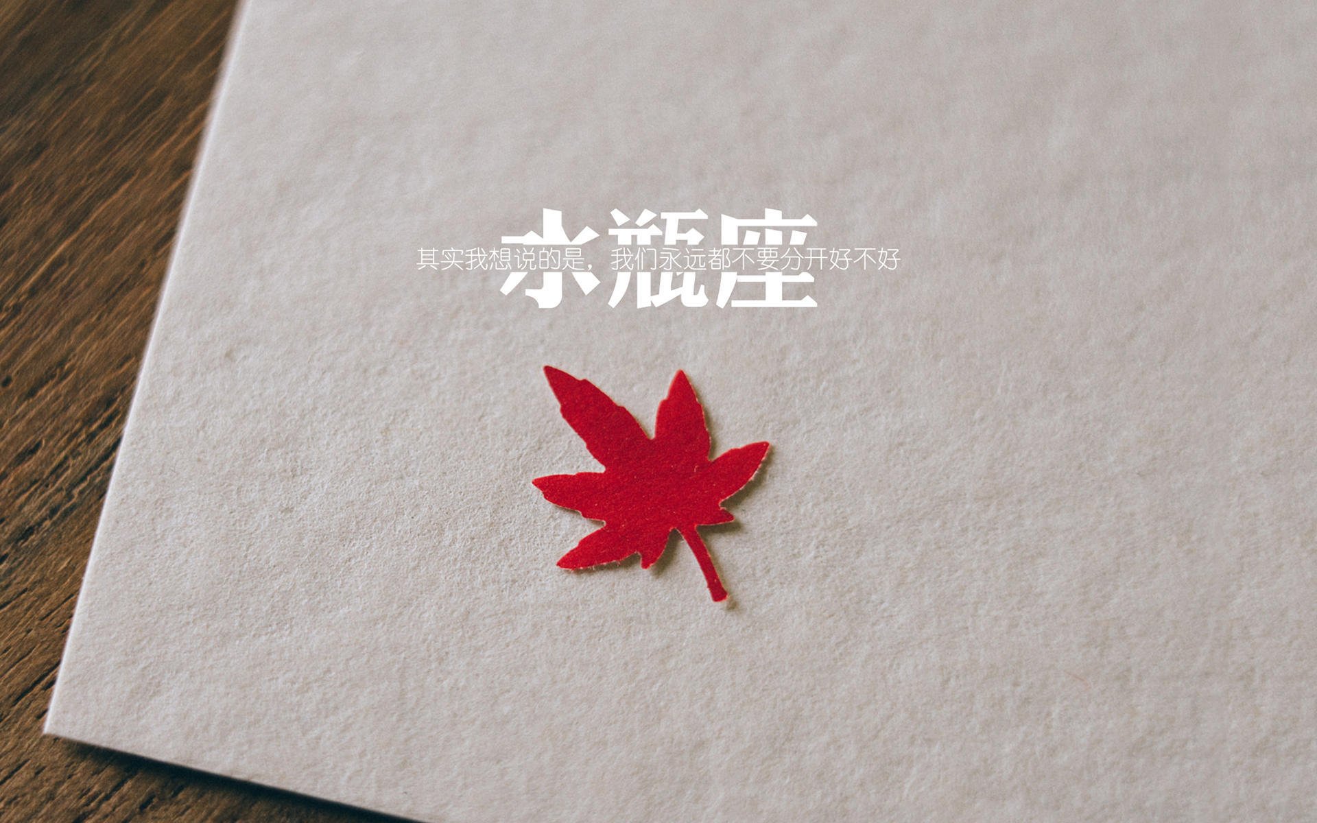 橙色风暴中的孤星,当登贝莱的魔法照亮荷兰的唯一之战